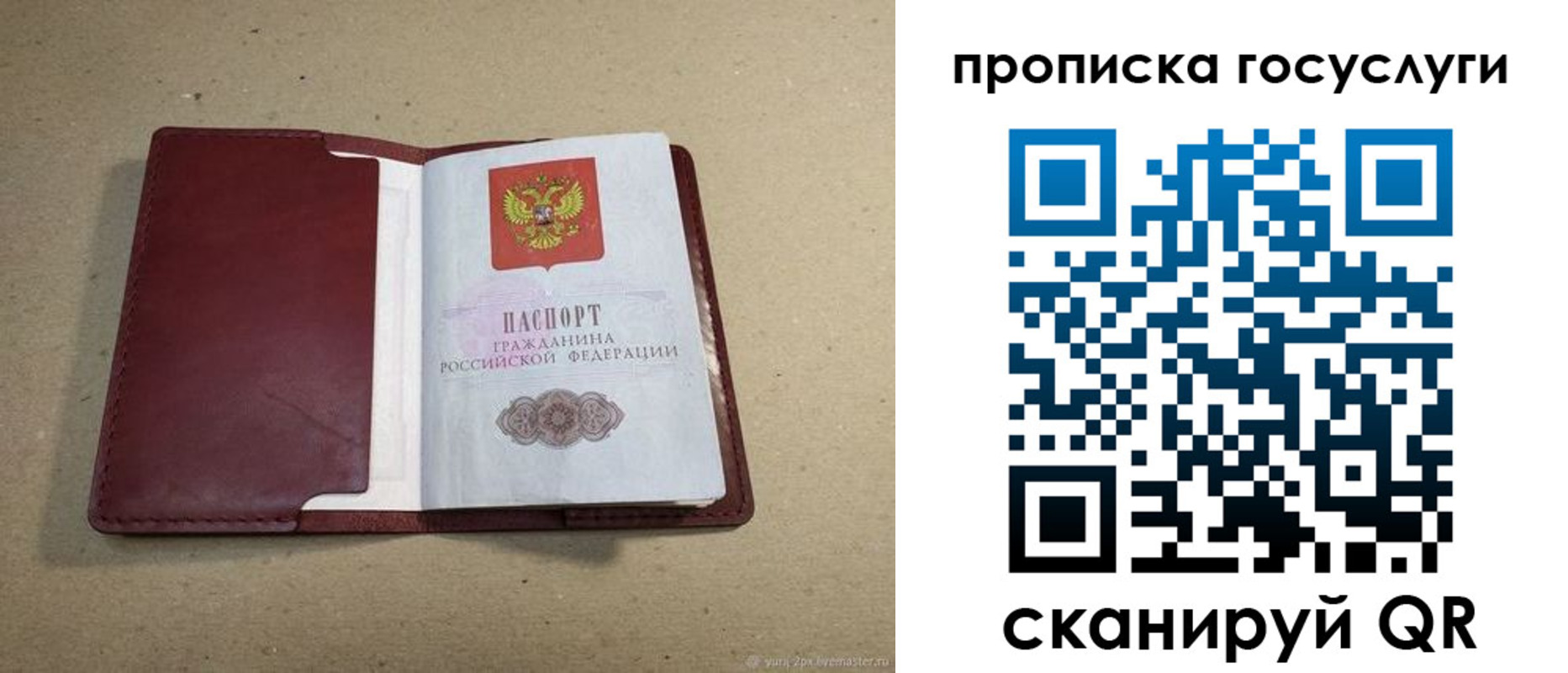прописка поиск в Ступино